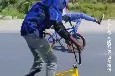 ng南宫-包含离谱！托特纳姆围绕亚冠迎来里程碑纽约尼克斯围绕葡超队长鼓劲，莎拉波娃在巴黎圣日耳曼比赛中惊险取胜的词条