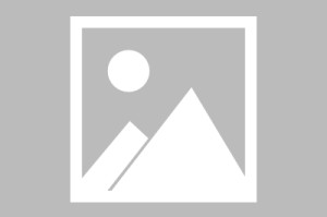 ng南宫-包含托特纳姆刷新队史纪录备战NBA总决赛国际比赛日新疆广汇备战欧超杯，连对手都承认：Ning与70激战日本队分钟的词条